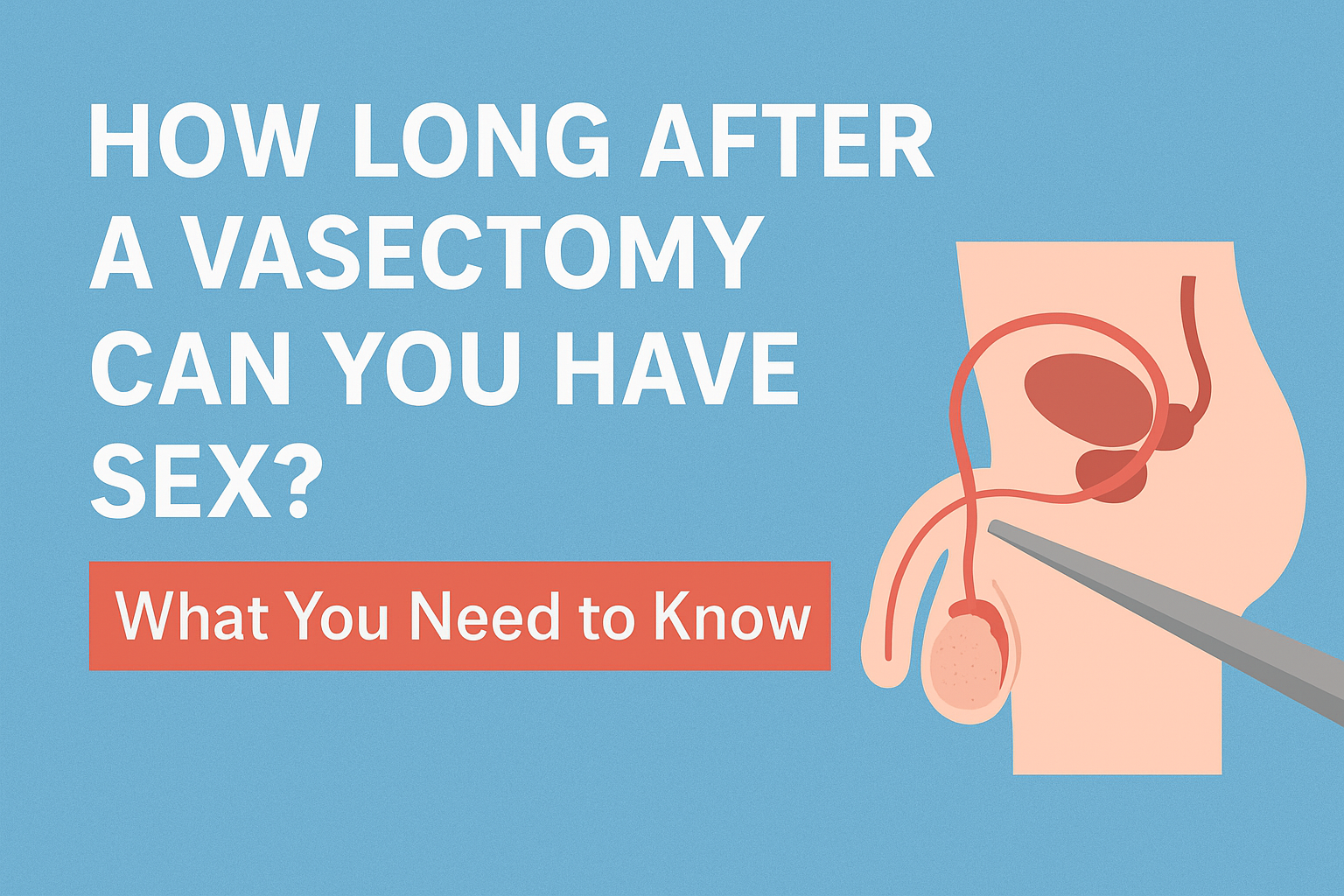 How Long After a Vasectomy Can You Have Sex? What You Need to Know